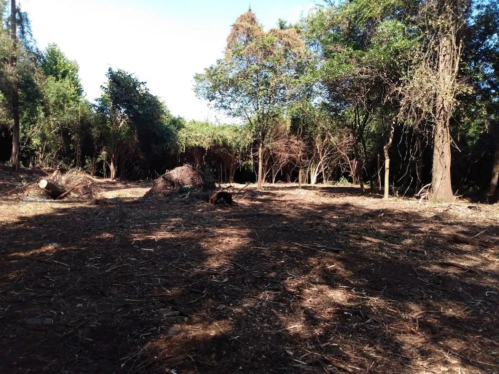 Affordable landscape design for residential properties in Marion, SC by Palmetto Clear Cut