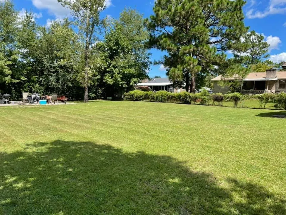 Custom yard cleanup service for year-round maintenance in Lexington, SC by Palmetto Creek Property Maintenance