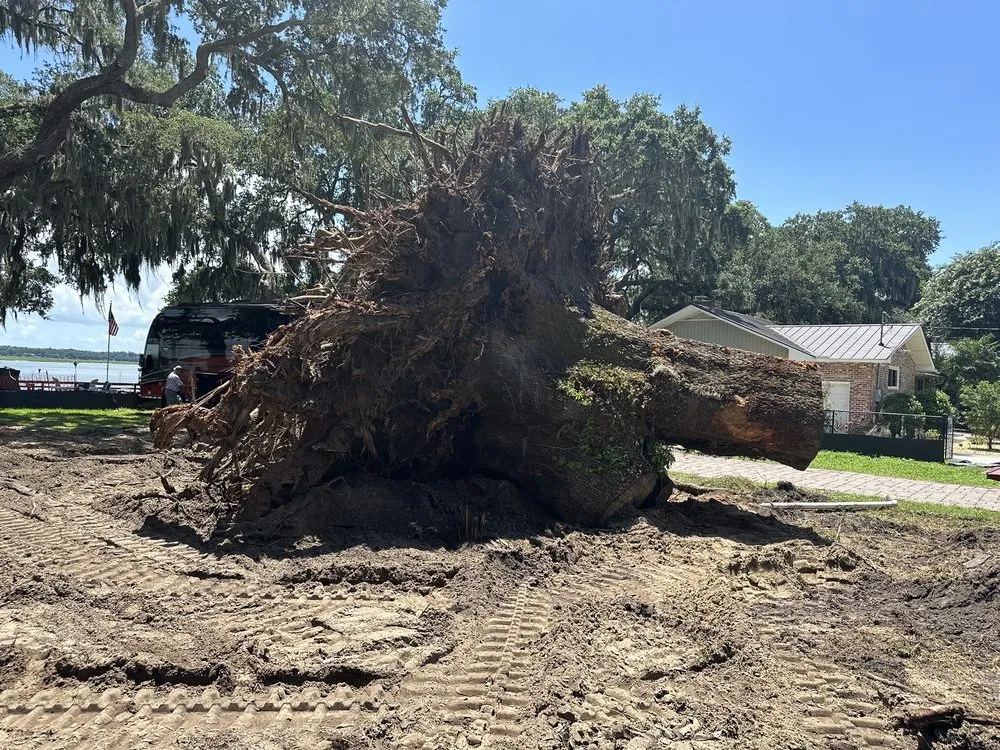 Reliable outdoor landscaping experts serving Okatie, SC - Palmetto Dirt And Demolition