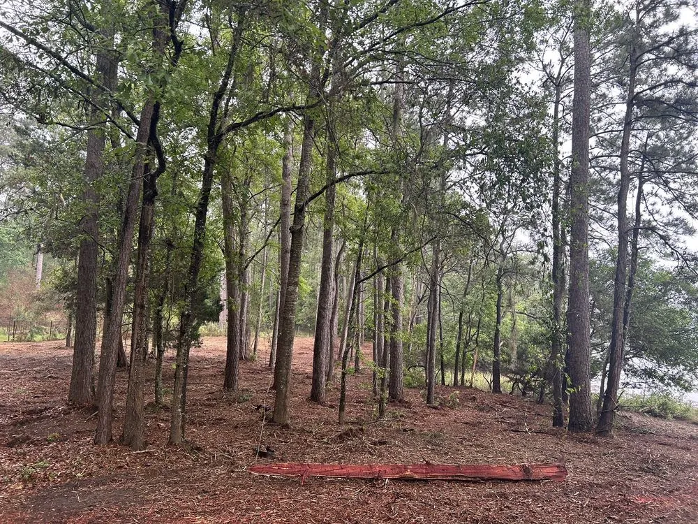 Reliable lawn mowing service with custom design across Okatie, SC - Palmetto Dirt And Demolition