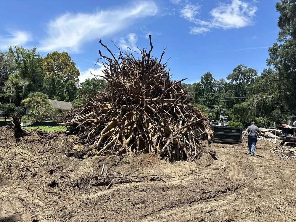 Affordable yard cleanup service experts serving Okatie, SC - Palmetto Dirt And Demolition