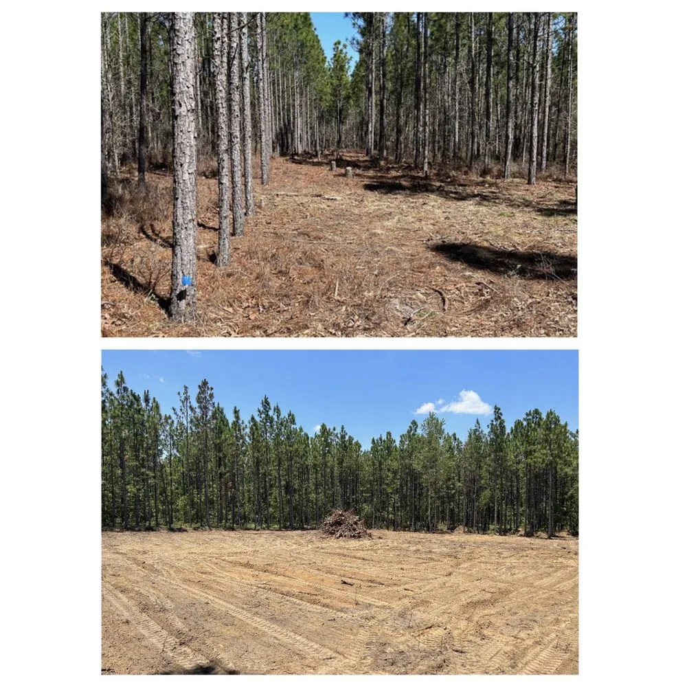 Professional garden landscaping in Aiken, SC by Palmetto Excavation Services