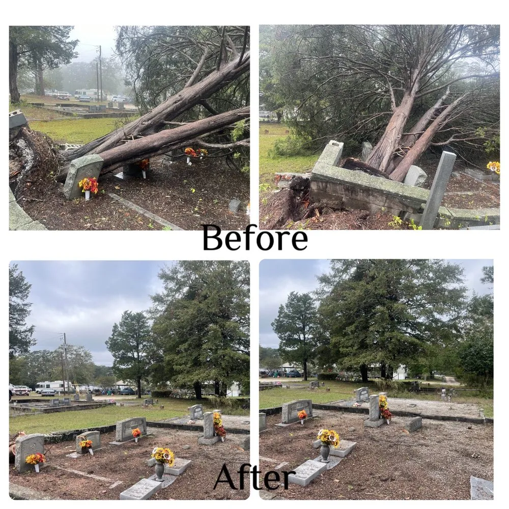 Affordable residential landscaping experts serving Aiken, SC - Palmetto Excavation Services