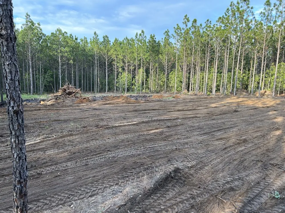 Professional yard maintenance in Aiken, SC by Palmetto Excavation Services