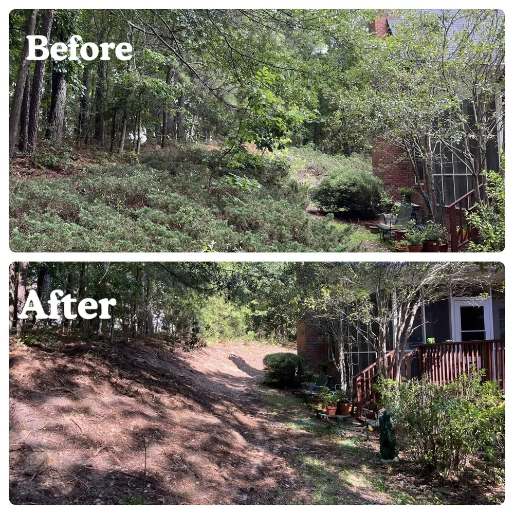 Top-rated landscape design in Aiken, SC - Palmetto Excavation Services