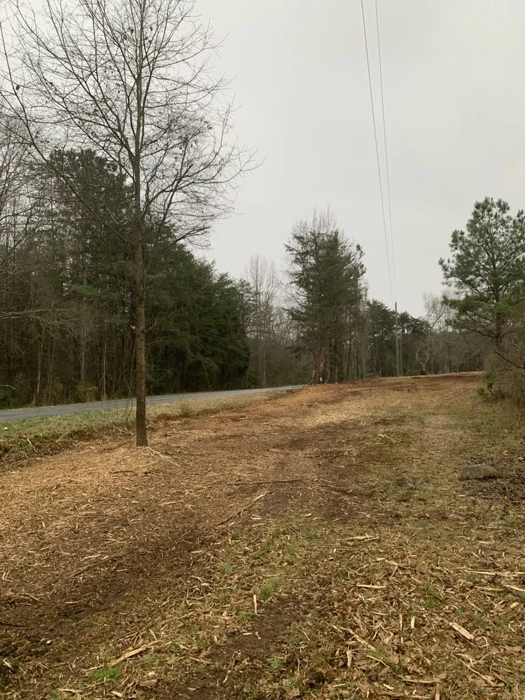 Expert yard maintenance for year-round maintenance across Belton, SC - Palmetto Forestry Mulching & Land Management