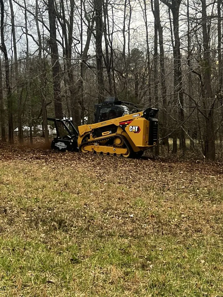 Top-rated residential landscaping for outdoor upgrades across Belton, SC - Palmetto Forestry Mulching & Land Management