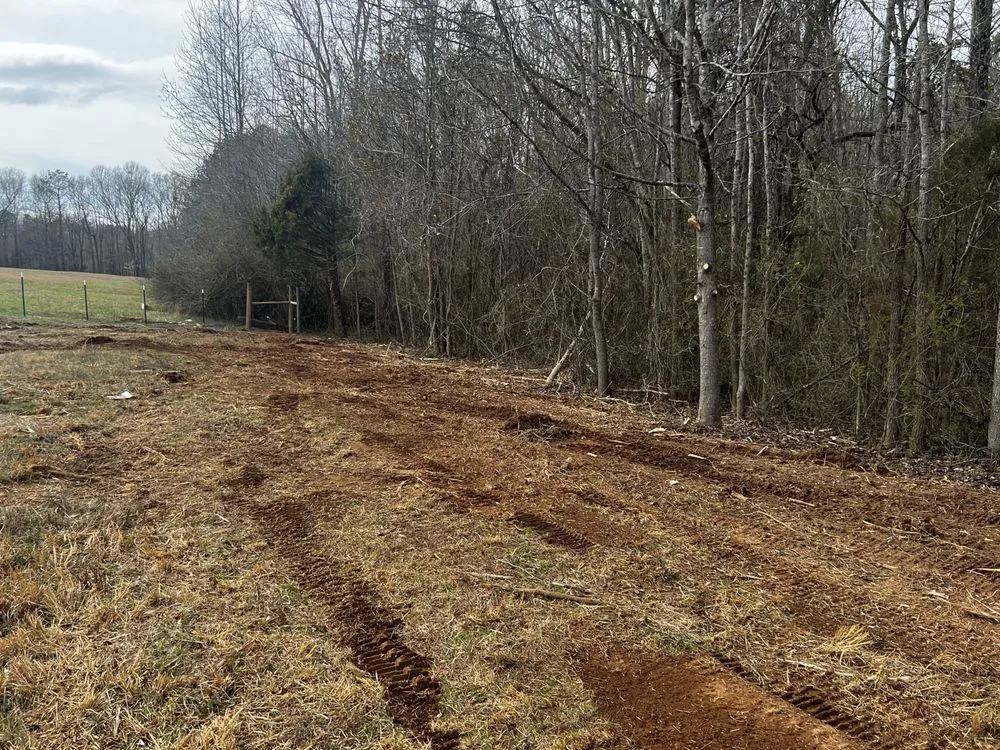 Reliable yard cleanup service for homes across Belton, SC - Palmetto Forestry Mulching & Land Management