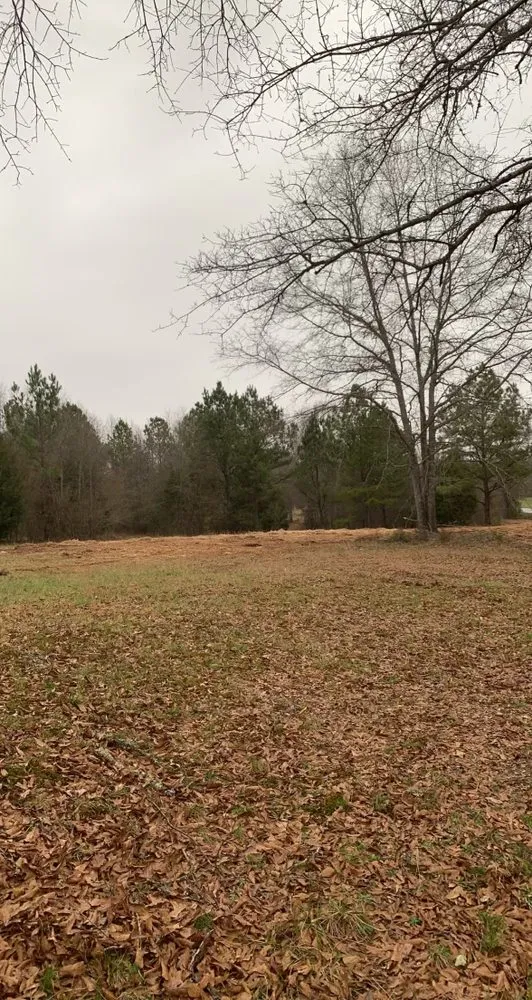 Reliable landscape installation near you across Belton, SC - Palmetto Forestry Mulching & Land Management