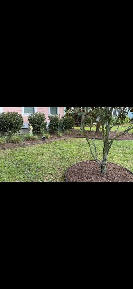 Expert garden landscaping for beautiful yards in Summerville, SC by Palmetto Gardens Landscape Service