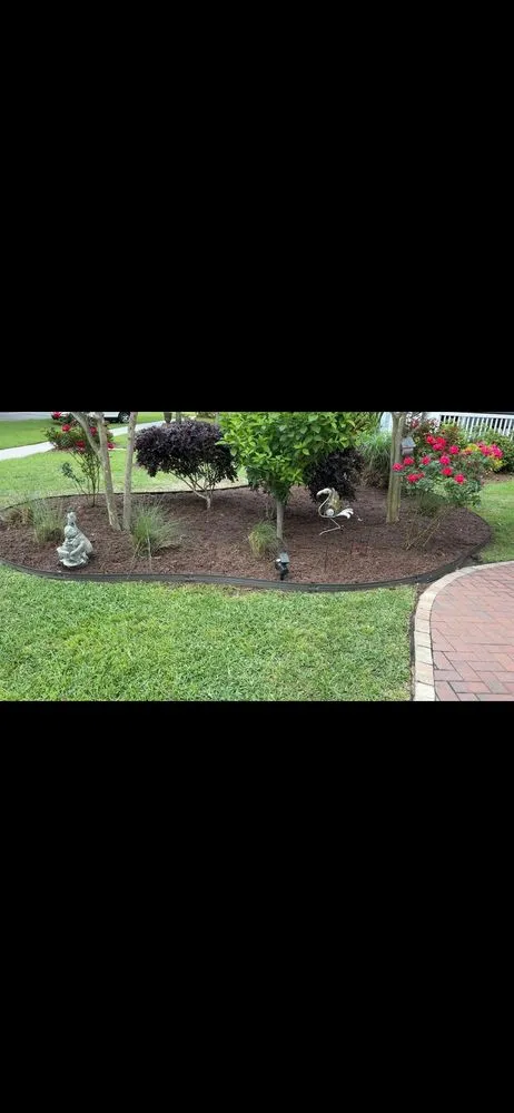 Reliable yard cleanup service for year-round maintenance in Summerville, SC by Palmetto Gardens Landscape Service