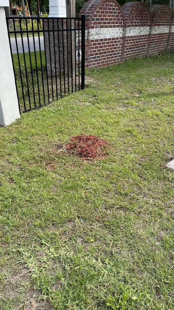 Local yard cleanup service in Mount Pleasan, SC - Palmetto Green Landscape and Design