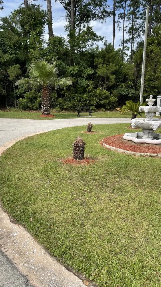Professional outdoor landscaping in Mount Pleasan, SC - Palmetto Green Landscape and Design
