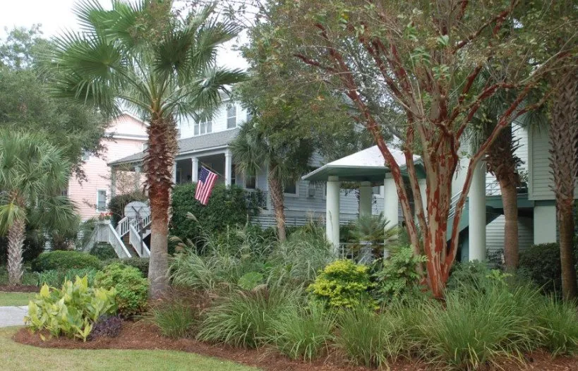 Affordable lawn care service for residential properties across Mount Pleasan, SC - Palmetto Green Landscape and Design