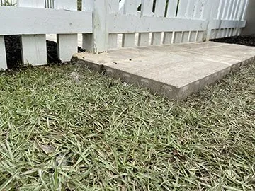 Expert landscaping services for homes in Mount Pleasan, SC by Palmetto Green Landscape and Design