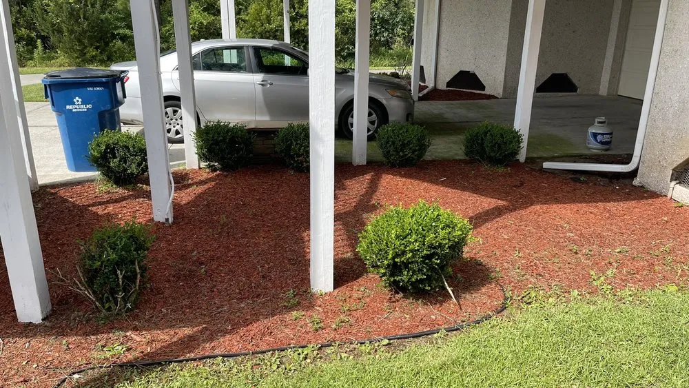 Local lawn care service in Mount Pleasan, SC by Palmetto Green Landscape and Design