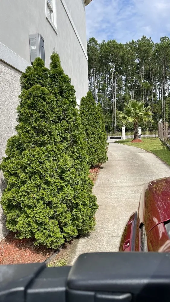 Professional garden landscaping in Mount Pleasan, SC by Palmetto Green Landscape and Design