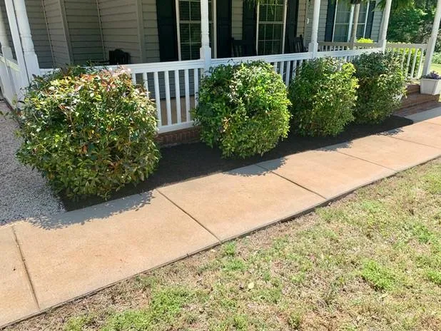 Reliable yard maintenance near you in Rock Hill, SC by Palmetto Homestead Solutions