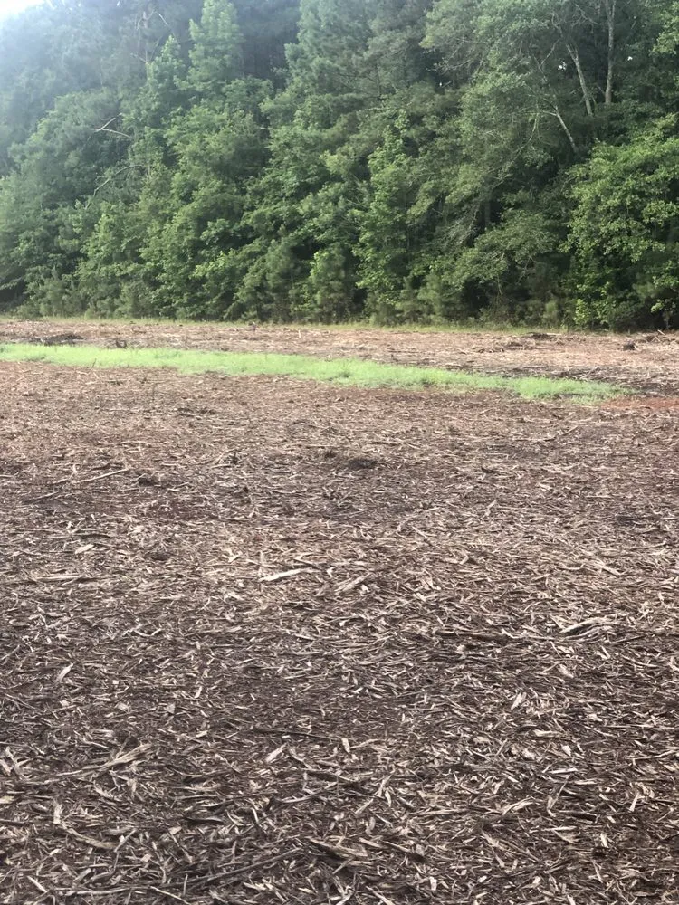 Affordable outdoor landscaping for homes in Holly Hill, SC by palmetto land solutions