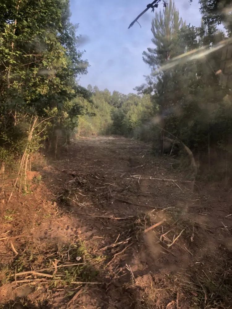 Affordable garden landscaping experts serving Holly Hill, SC - palmetto land solutions