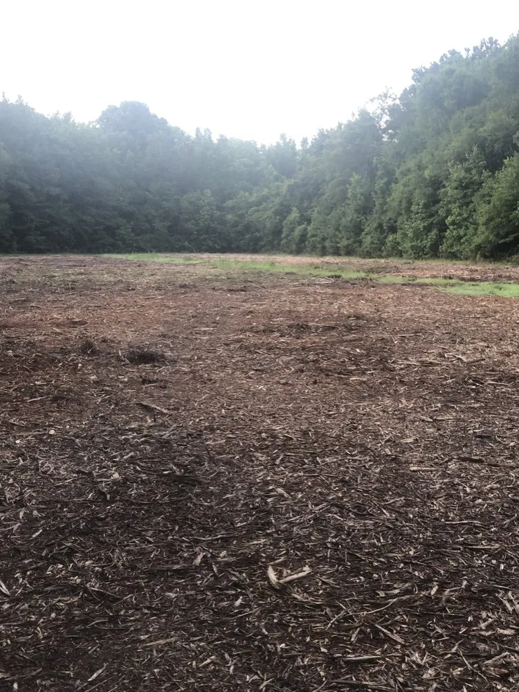 Top-rated landscape installation for outdoor upgrades in Holly Hill, SC by palmetto land solutions