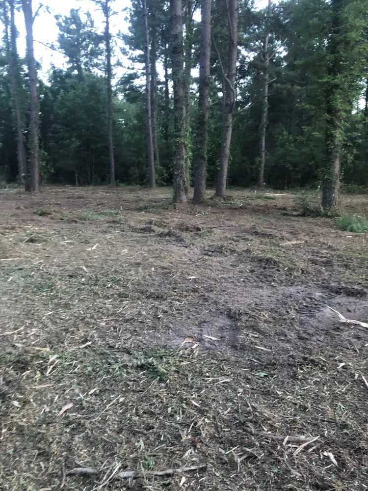 Custom yard maintenance experts serving Holly Hill, SC - palmetto land solutions