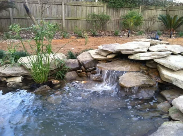 Custom lawn care service in Summerville, SC - Palmetto Landscaping and Design
