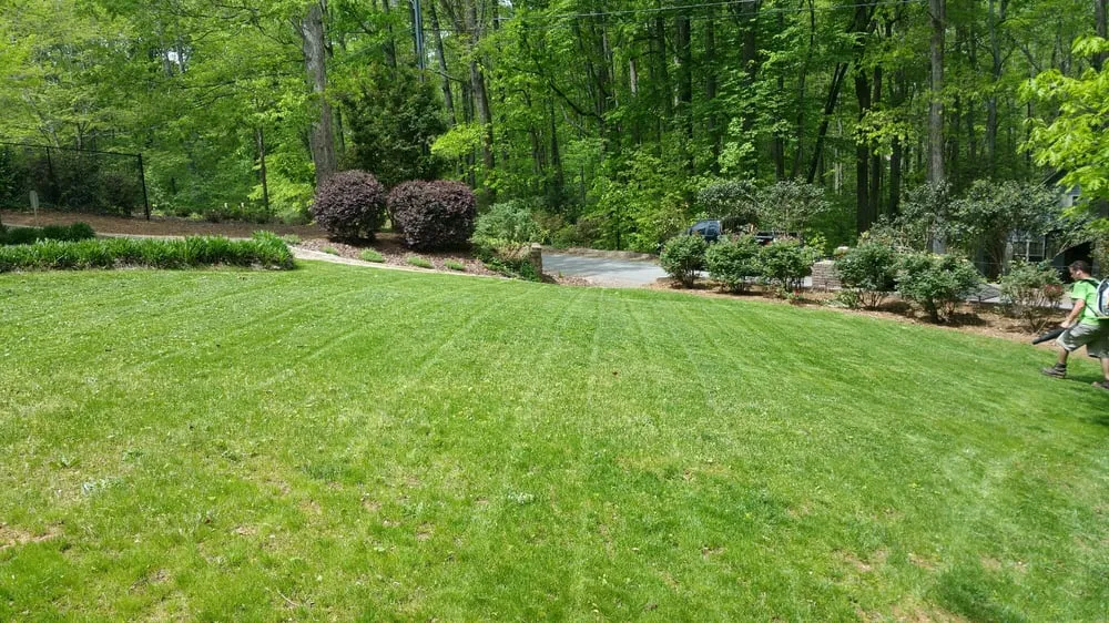 Reliable lawn care service in Greenville, SC - Palmetto Lawn and Landscape