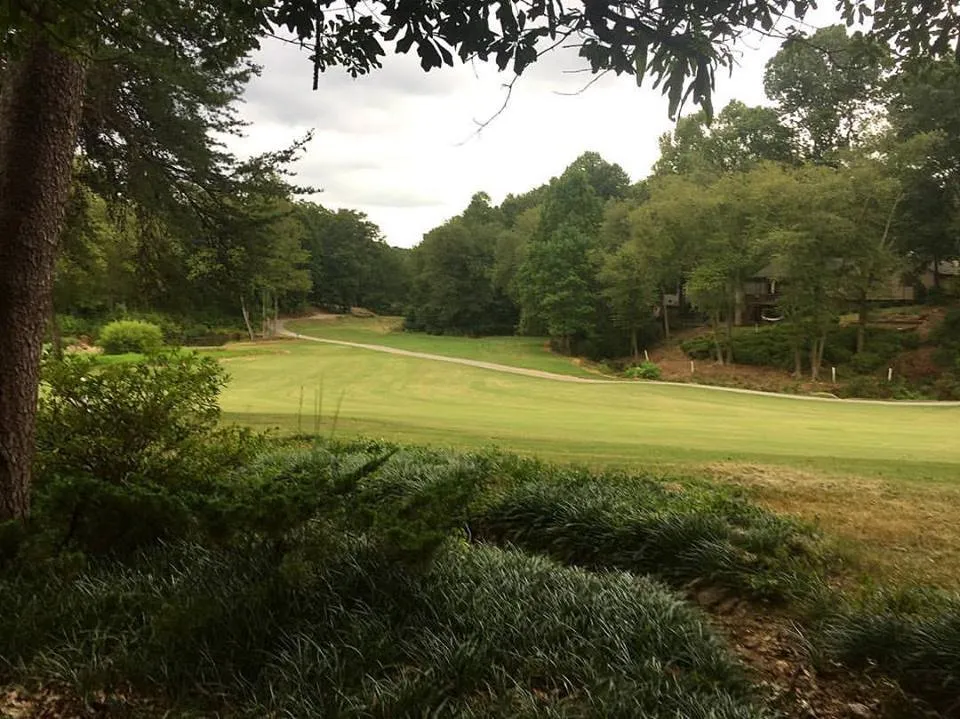 Local yard maintenance in Taylors, SC by Palmetto Lawn and Pest