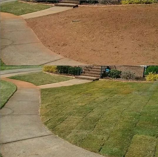 Expert landscaping services in Taylors, SC by Palmetto Lawn and Pest