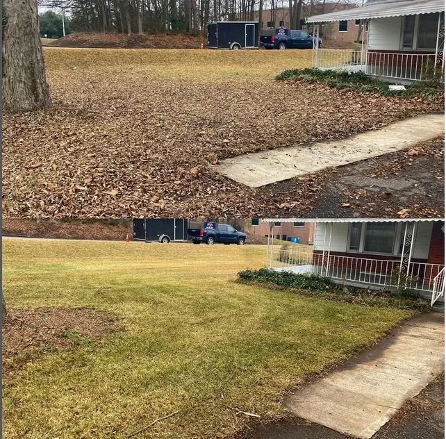 Affordable lawn care service for residential properties in Taylors, SC by Palmetto Lawn and Pest