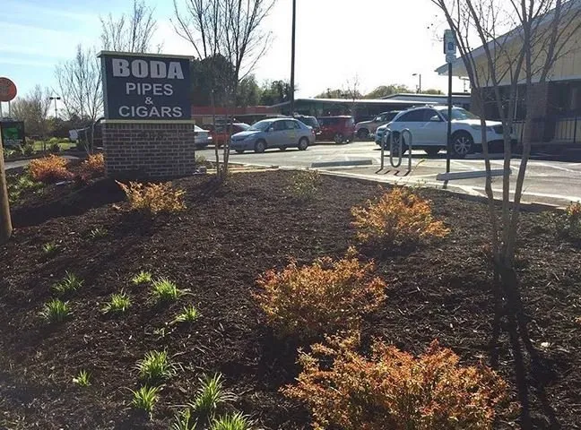 Reliable residential landscaping experts serving Taylors, SC - Palmetto Lawn and Pest