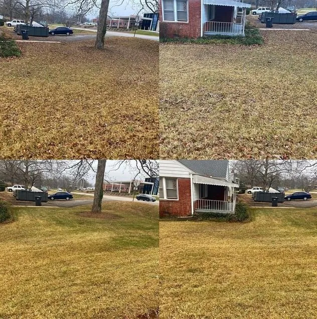 Custom outdoor landscaping for residential properties across Taylors, SC - Palmetto Lawn and Pest