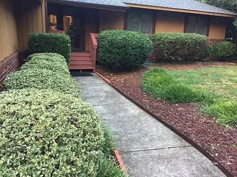 Professional yard cleanup service for homes across Taylors, SC - Palmetto Lawn and Pest
