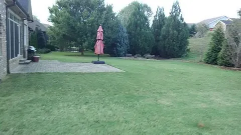 Trusted yard cleanup service experts serving Taylors, SC - Palmetto Lawn and Pest