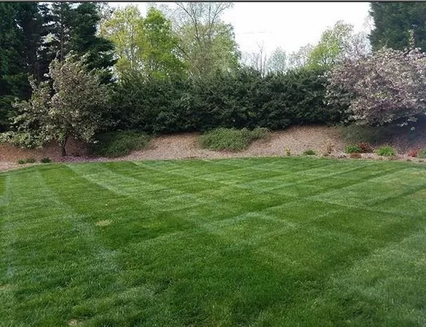 Custom outdoor landscaping in Taylors, SC by Palmetto Lawn and Pest