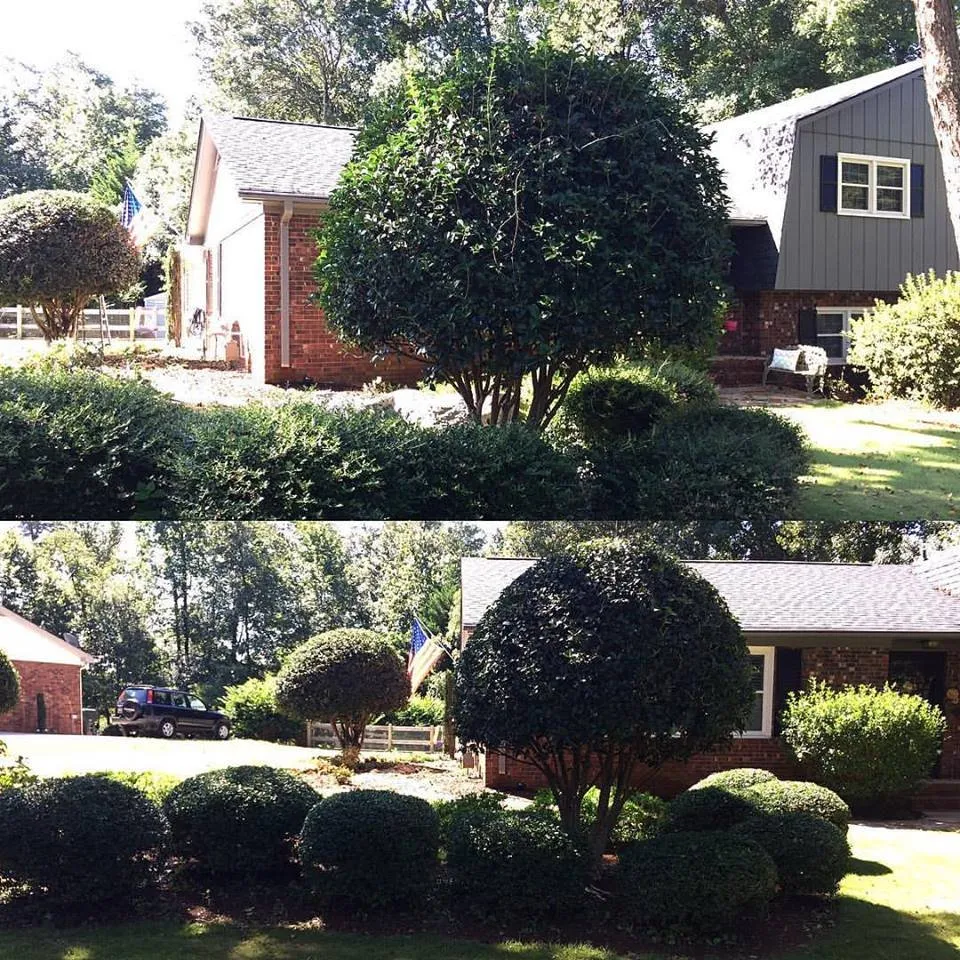 Trusted outdoor landscaping in Taylors, SC - Palmetto Lawn and Pest