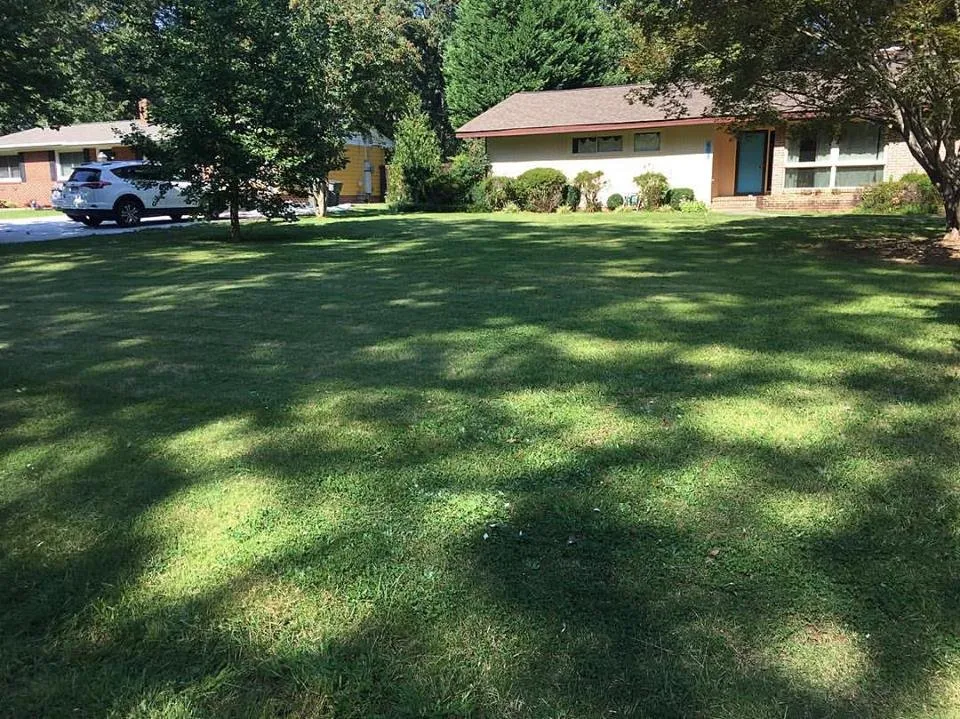 Top-rated lawn mowing service for homes in Taylors, SC by Palmetto Lawn and Pest