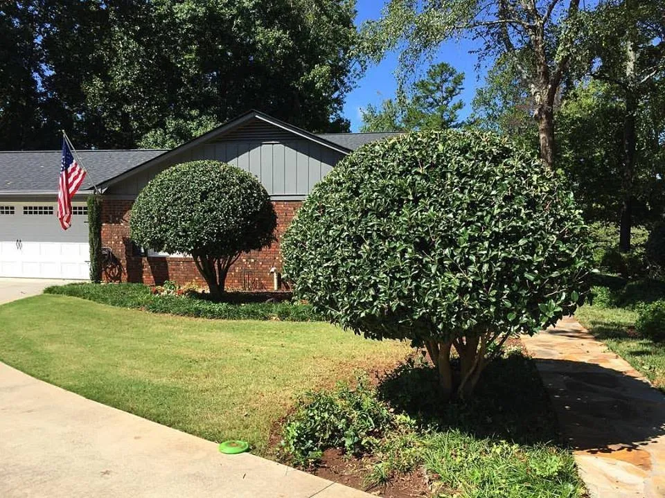 Reliable residential landscaping in Taylors, SC by Palmetto Lawn and Pest