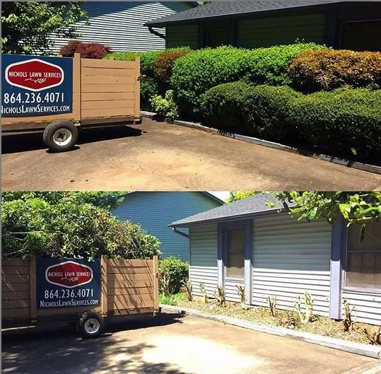 Expert yard cleanup service for homes in Taylors, SC by Palmetto Lawn and Pest