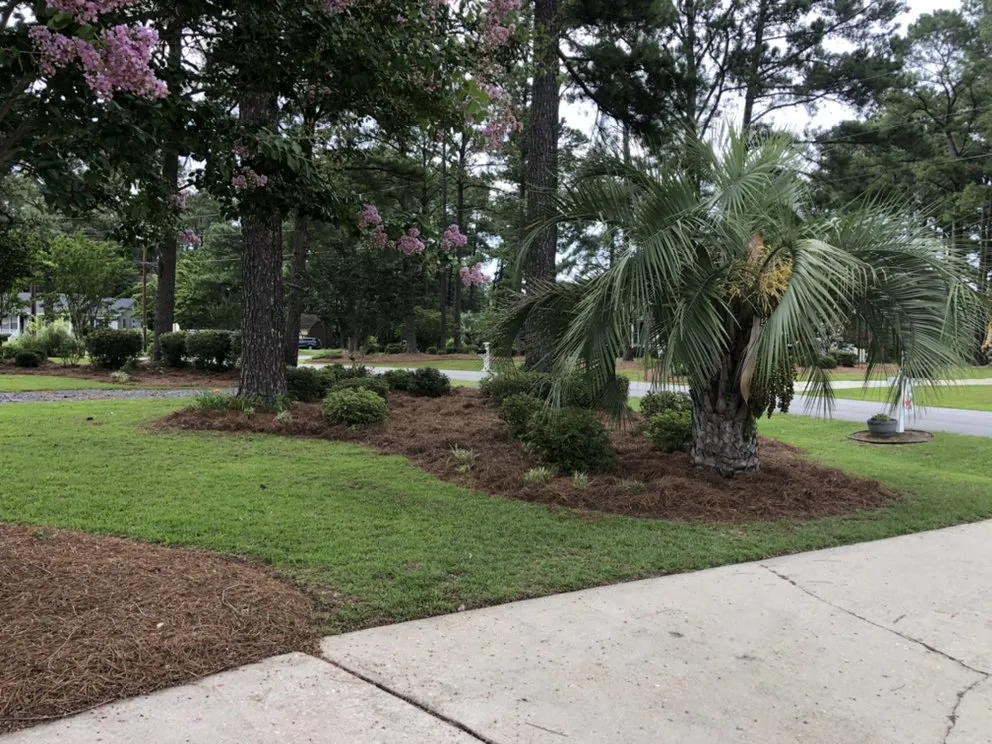Top-rated garden landscaping in Florence, SC - Palmetto Lawn Care Services