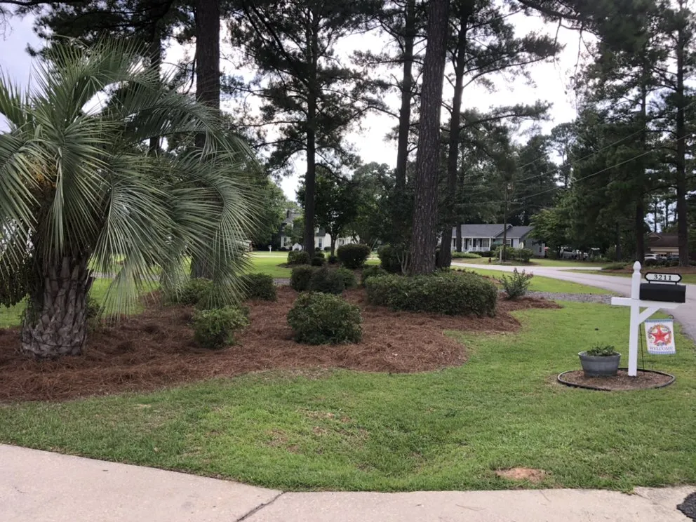Reliable lawn care service for beautiful yards in Florence, SC by Palmetto Lawn Care Services