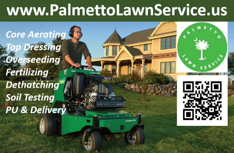 Trusted yard cleanup service for year-round maintenance in Ladson, SC by Palmetto Lawn Service