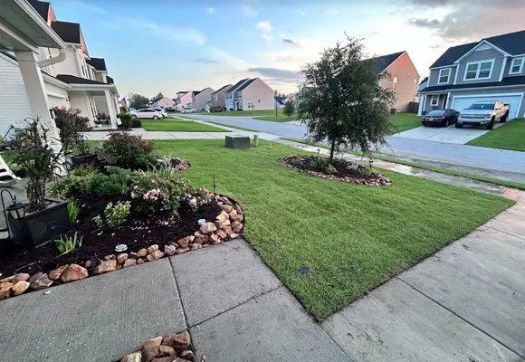 Palmetto Lawn Service Logo