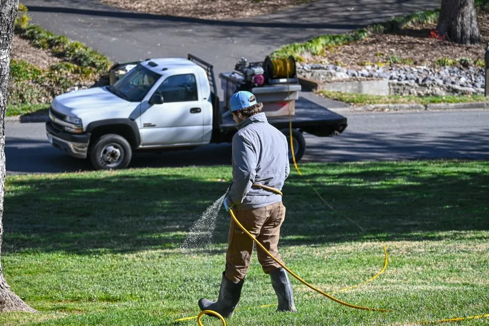 Professional landscape design experts serving Rock Hill, SC - Palmetto Lawn Services