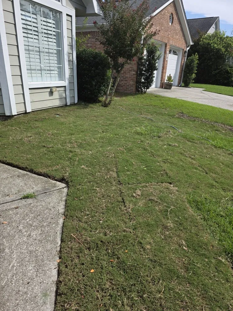 Local landscape design experts serving Hanahan, SC - Palmetto Luna Landscaping And Concrete