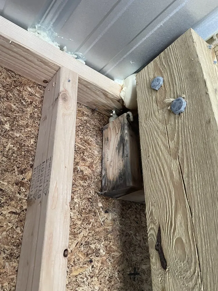 Professional landscaping services in Columbia, SC - Palmetto Pros