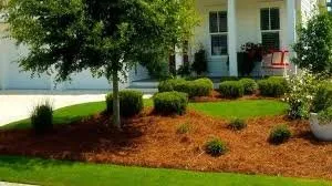 Trusted residential landscaping experts serving Elgin, SC - Palmetto Pros Lawn Care
