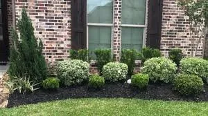 Trusted yard maintenance for residential properties across Elgin, SC - Palmetto Pros Lawn Care