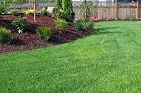 Trusted lawn mowing service experts serving Elgin, SC - Palmetto Pros Lawn Care
